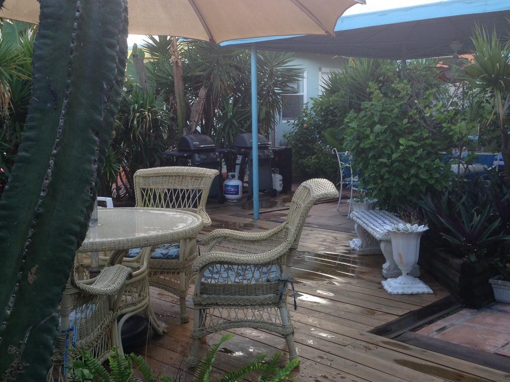 Angelfish Inn هوليوود المظهر الخارجي الصورة